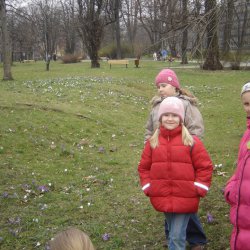 palmiarnia2_2008