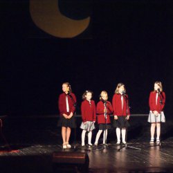 Zespół „Vocalis” w tym roku obchodzi jubileusz 10-lecia istnienia. Na Wieczorze Premier wystąpił z piosenką „Najlepsza koleżanka”