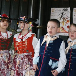 karlik010