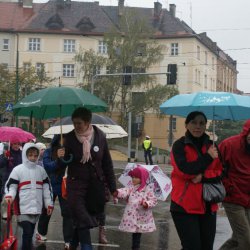 V Światowy Dzień Żywności i Walki z Głodem w Zabrzu