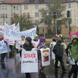 V Światowy Dzień Żywności i Walki z Głodem w Zabrzu
