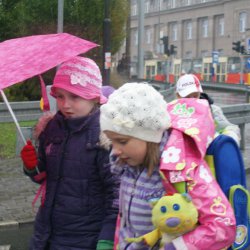 V Światowy Dzień Żywności i Walki z Głodem w Zabrzu