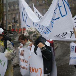 V Światowy Dzień Żywności i Walki z Głodem w Zabrzu