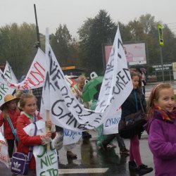V Światowy Dzień Żywności i Walki z Głodem w Zabrzu