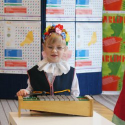 karlik_2012_36