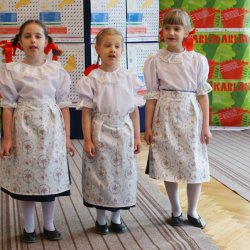 karlik_2012_37