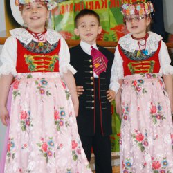 karlik_2012_39