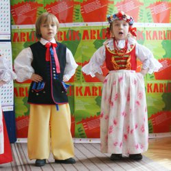 karlik_2012_41