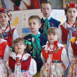 karlik_2012_45