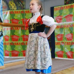 karlik_2012_51