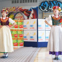 karlik_2012_53