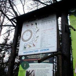 ustron2012_4