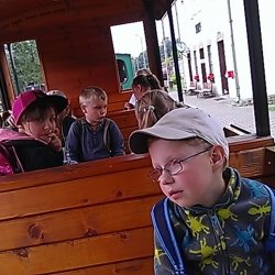 Zabytkowa Stacja Kolejki Wąskotorowej W Rudach, Park linowy