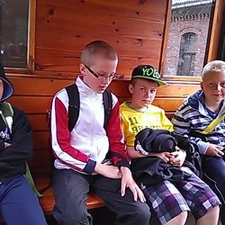 Zabytkowa Stacja Kolejki Wąskotorowej W Rudach, Park linowy