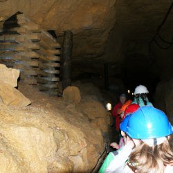 dsc00084