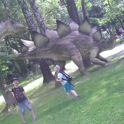 wp_20150702_008