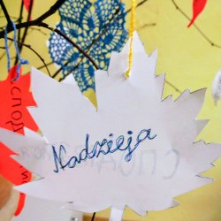 img_20220426_1416297094