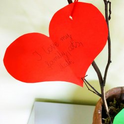 img_20230222_1620205472