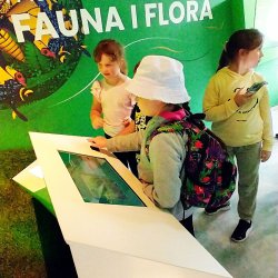 img_20230628_1143233722