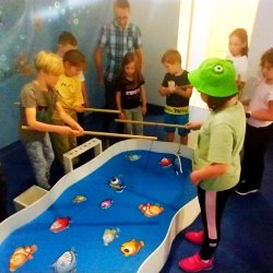 img_20230628_1311033622