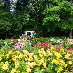 img_20230630_111910245_hdr2