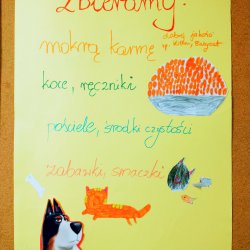 img_20231026_155334631