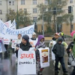 Strajk żywności